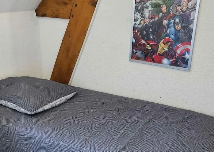 House With Garden And Barbecue In